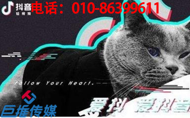 创建玉溪短视频代运营团队需要注意哪些？