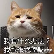 微商文案猖狂？其实他们才是真正的文案天才！ 